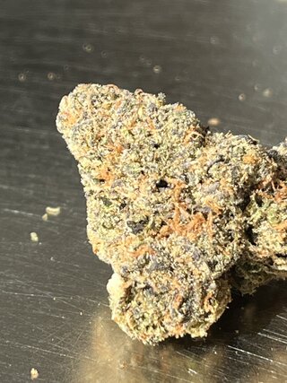 IMG_7472.jpeg