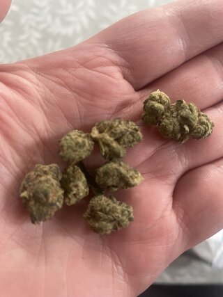 IMG_5021.jpeg