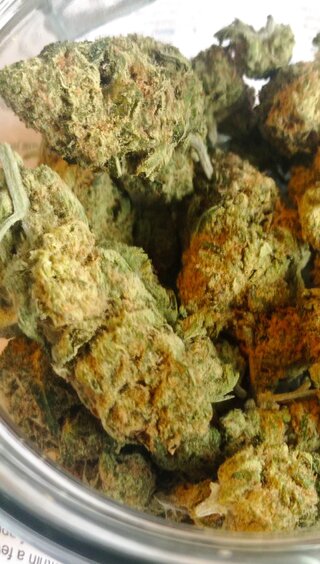 Blue Dream 1.jpg
