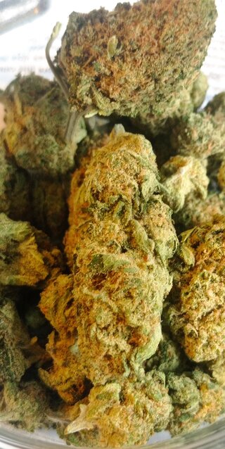 Blue Dream 2.jpg