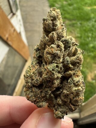 IMG_9088.jpeg