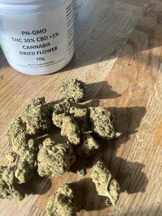 IMG_7477.jpeg
