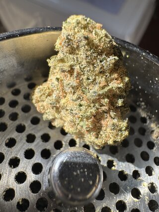 IMG_9108.jpeg