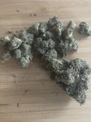 IMG_5026.jpeg