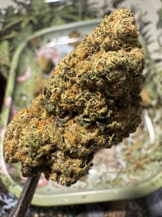 IMG_5855.jpeg