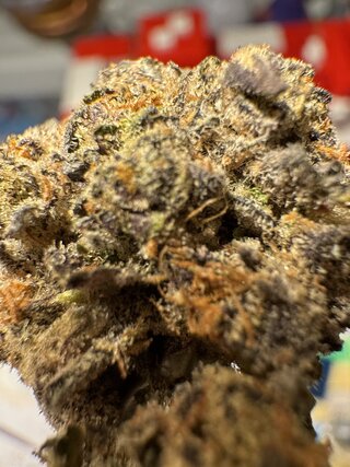 IMG_6905.jpeg
