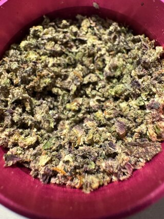 IMG_6909.jpeg
