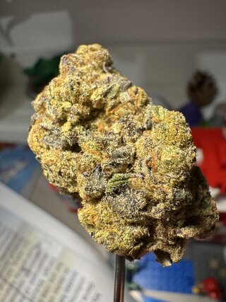 IMG_6894.jpeg