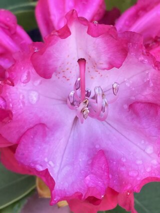 IMG_3358.jpeg