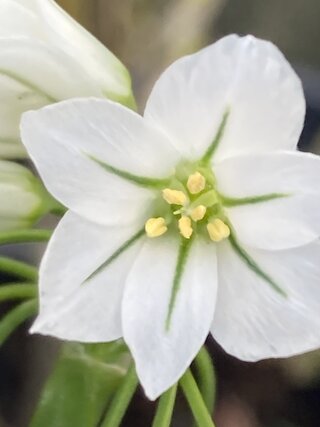 IMG_3363.jpeg