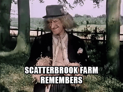 worzel-gummidge-medbud.gif