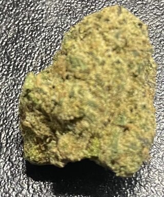 IMG_4309.jpeg