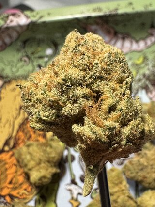 IMG_7142.jpeg