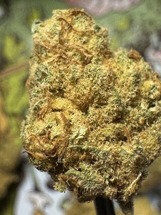 IMG_7139.jpeg
