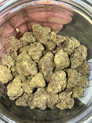 IMG_2266.jpeg