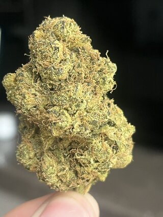 IMG_3478.jpeg