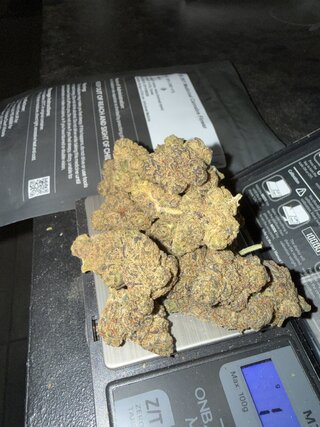 IMG_2270.jpeg