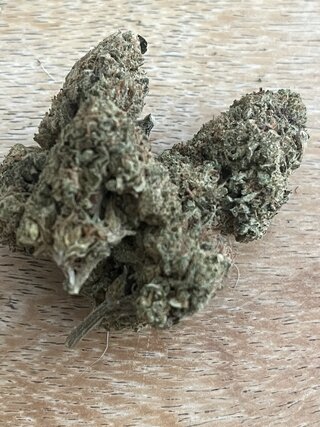 IMG_7599.jpeg