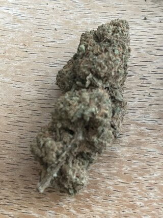 IMG_7600.jpeg