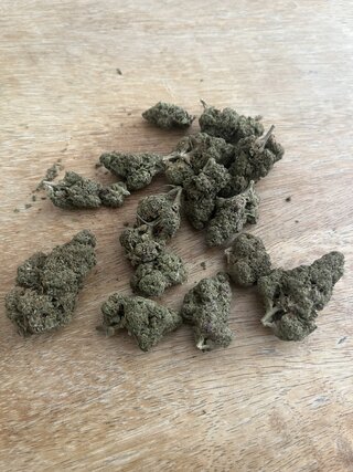 IMG_7592.jpeg