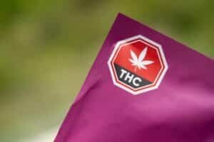 THC-document-300x200.jpg
