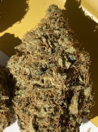 IMG_3386.jpeg