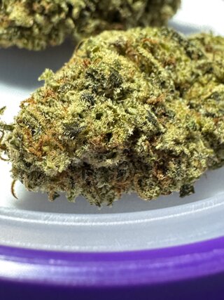 IMG_0187.jpeg