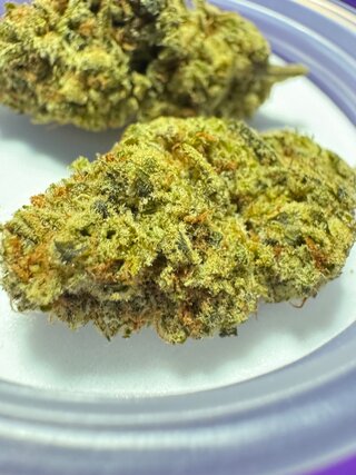 IMG_0186.jpeg