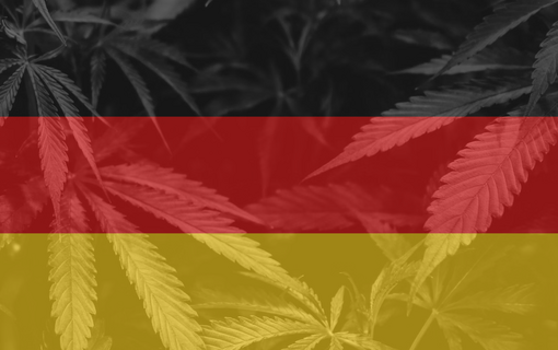 Berlin 2026: European Cannabis M&A Finds its Footing