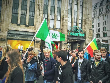 Stable Consumption, Falling Arrests: Germany’s Cannabis Landscape 2-Years On