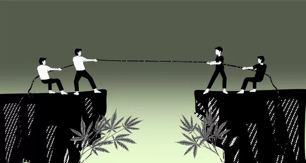 The War on Europe’s Legal Hemp Industry