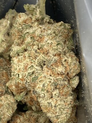 IMG_3396.jpeg