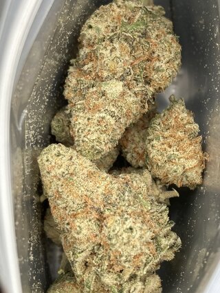 IMG_3397.jpeg