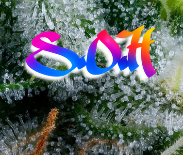 1777680527640.png