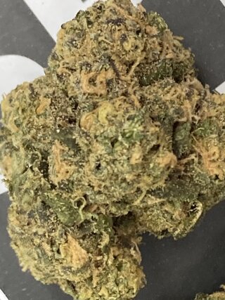 IMG_3416.jpeg