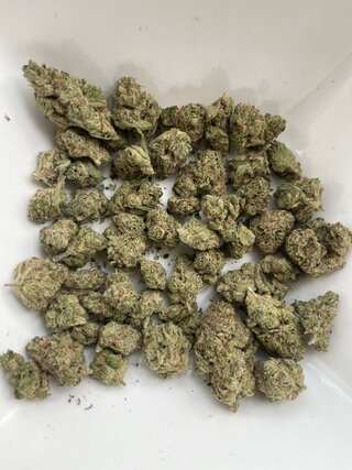 IMG_4298.jpeg