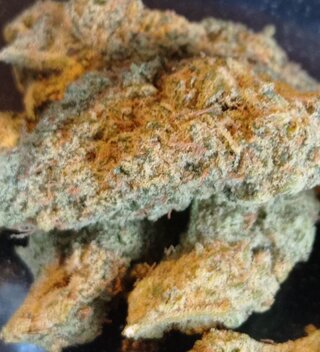Gelato Dream 2.jpg