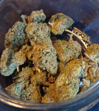 Glueberry1.jpg