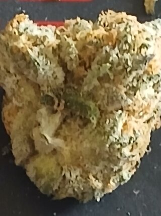 20260506_140658.jpg
