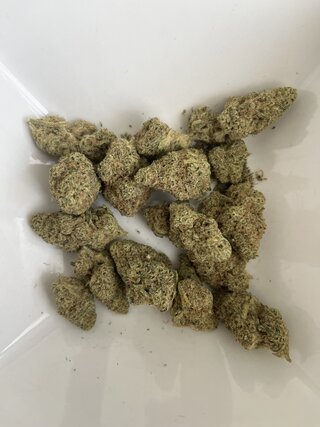 IMG_4297.jpeg