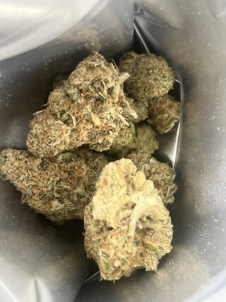 IMG_4438.jpeg