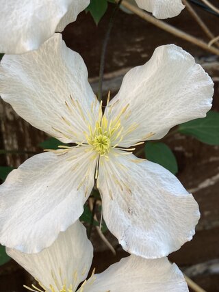 IMG_3455.jpeg