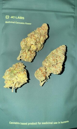 bud.jpeg