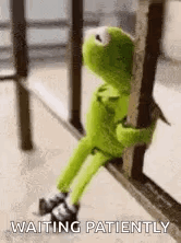 kermit-the-frog-kermit.gif