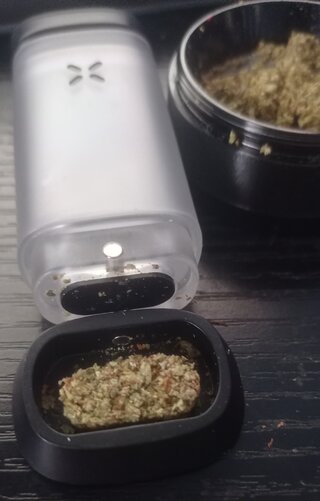 Pax2.jpg Pax2.jpg
