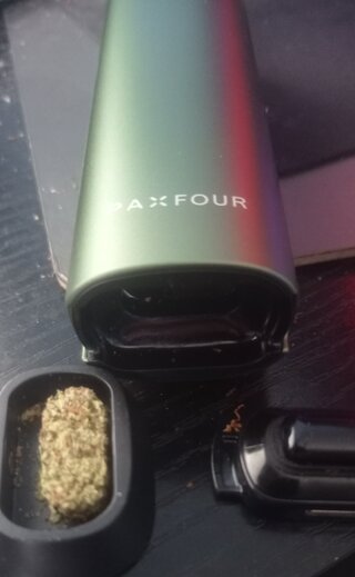 Pax3.jpg Pax3.jpg