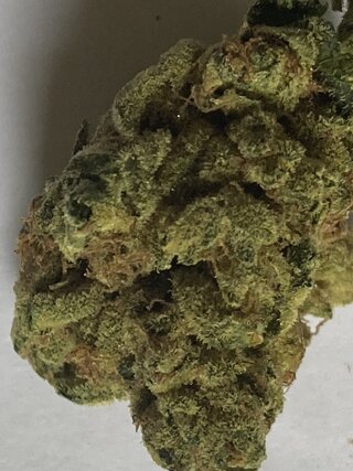 IMG_3465.jpeg