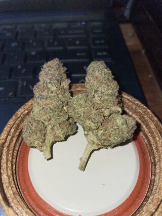 IMG_1695.jpeg