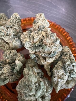 IMG_2173.jpeg