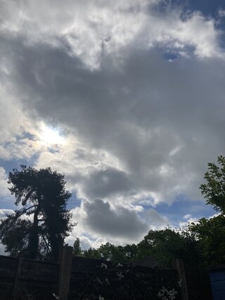 IMG_3480.jpeg